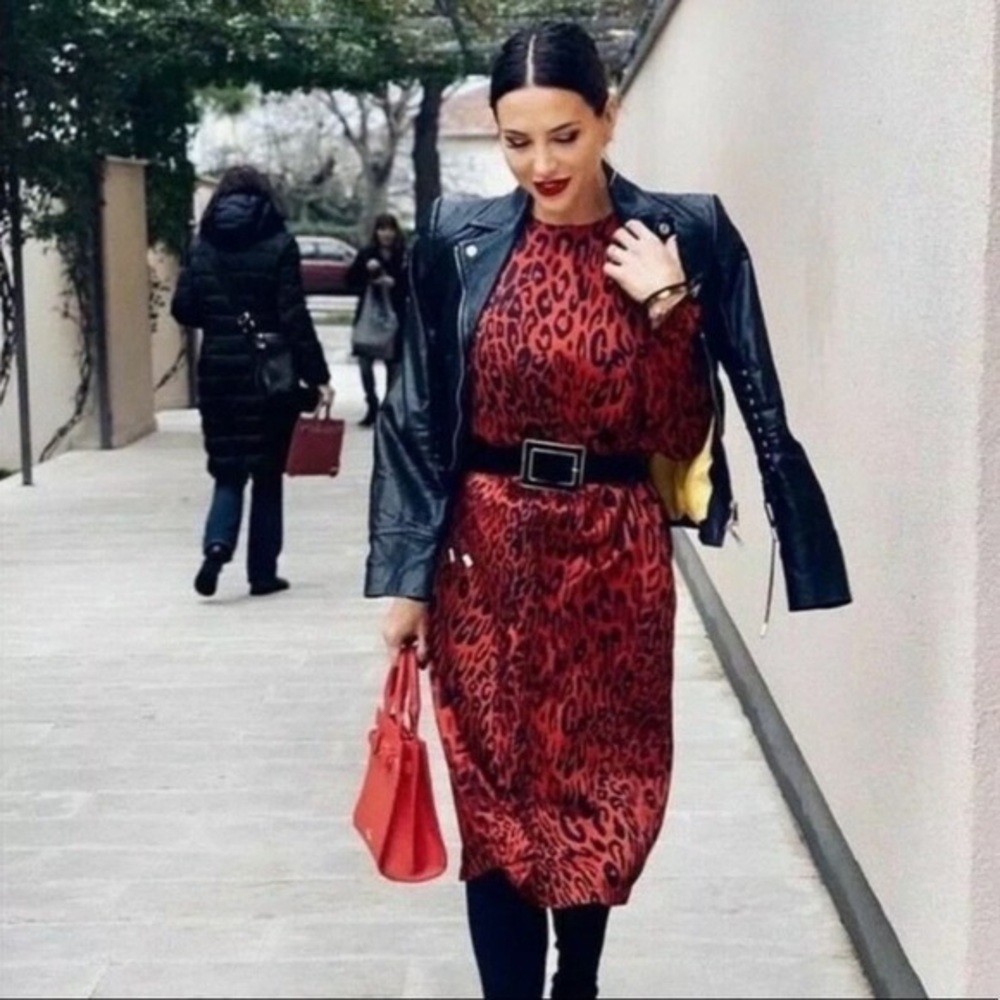 Zara MIDI Dress in black and red animal print